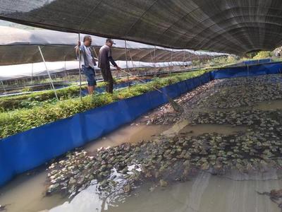 云南红河县生态环境分局开展水产品养殖业污染排查